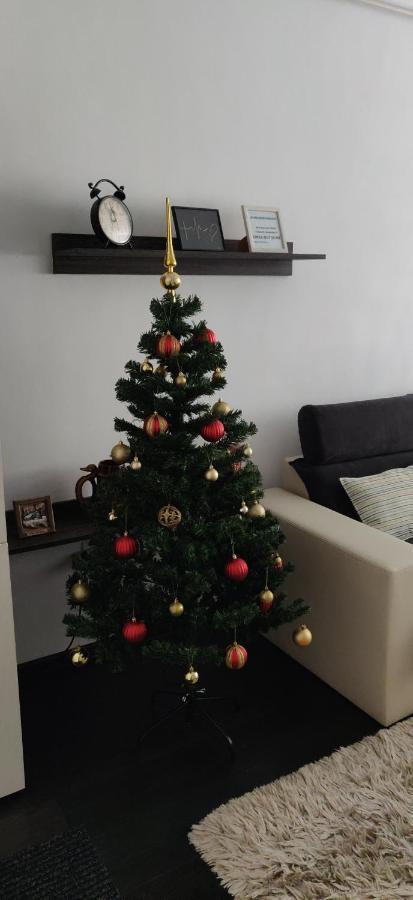 Avangarden Apartment Braşov Eksteriør bilde